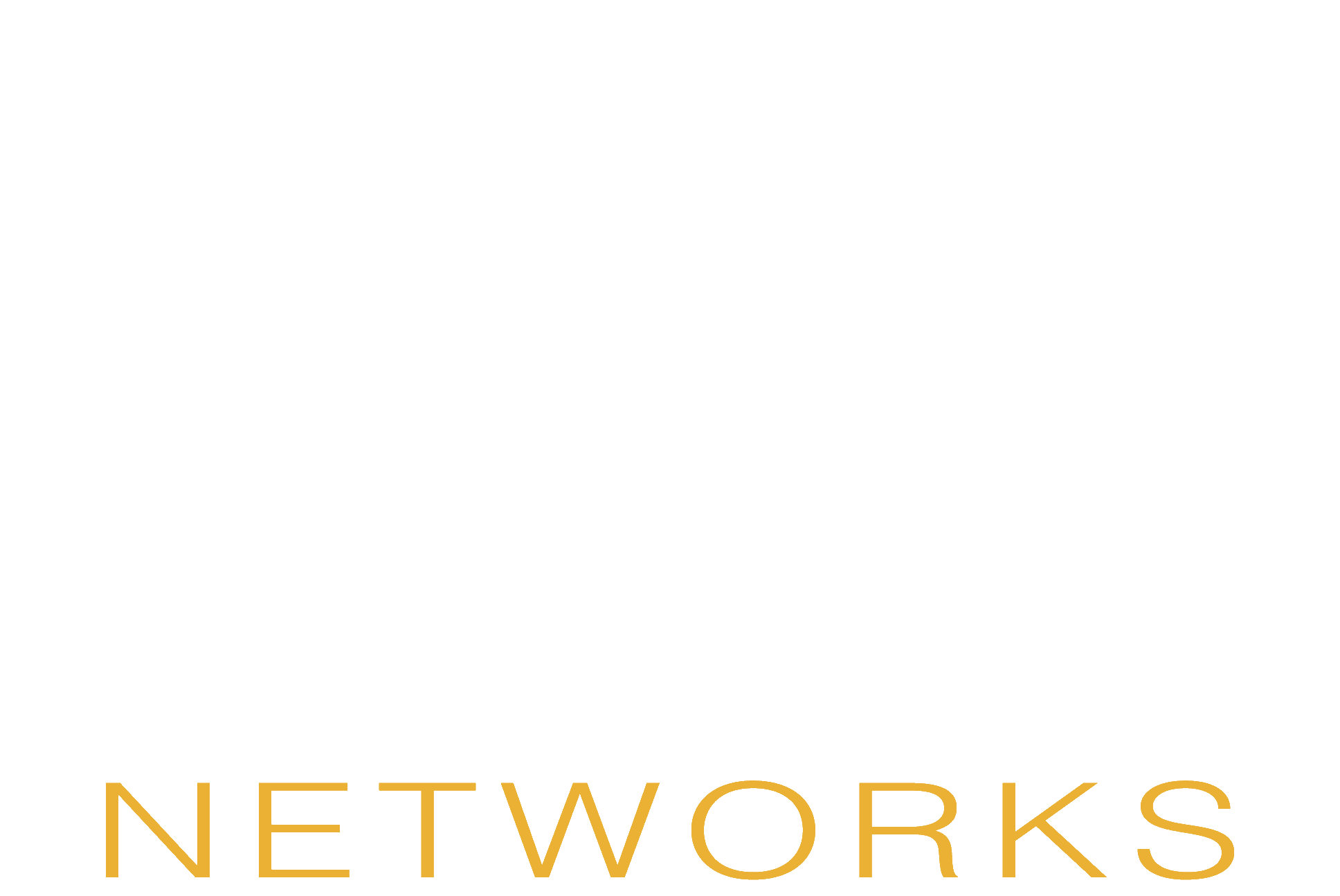 Avion Networks